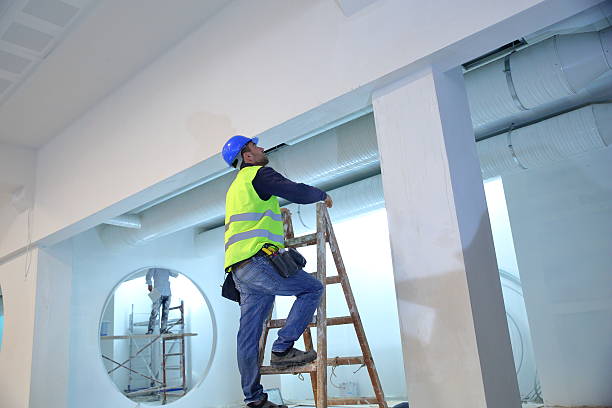  , USA Mold Removal Pros